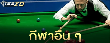 กีฬาอื่น ๆ